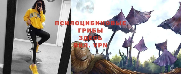2c-b Белоозёрский