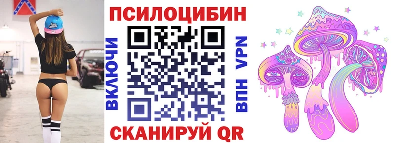 купить наркотики цена  Брюховецкая  Псилоцибиновые грибы мицелий 
