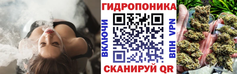 Бошки Шишки VHQ мега ONION Брюховецкая